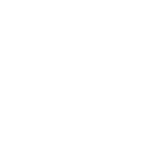 logo newman blanc
